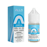 BLUEBERRY ICE ALLO E-LIQUID